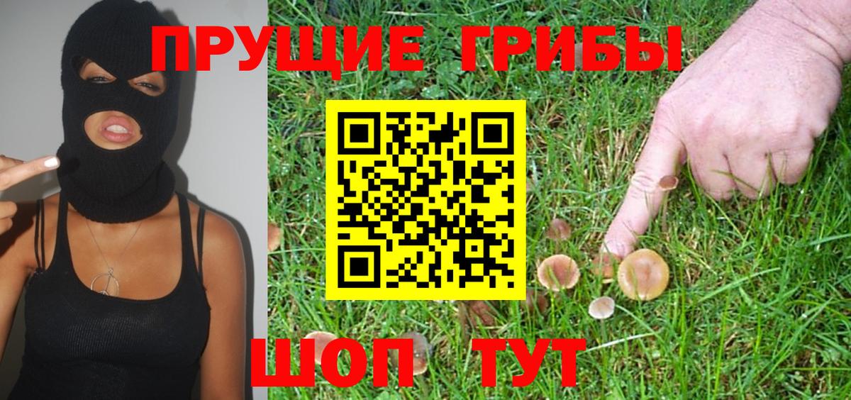 Псилоцибиновые грибы Cubensis  наркотики  Бузулук  Вход с VPN  Галлюциногенные грибы Cubensis 