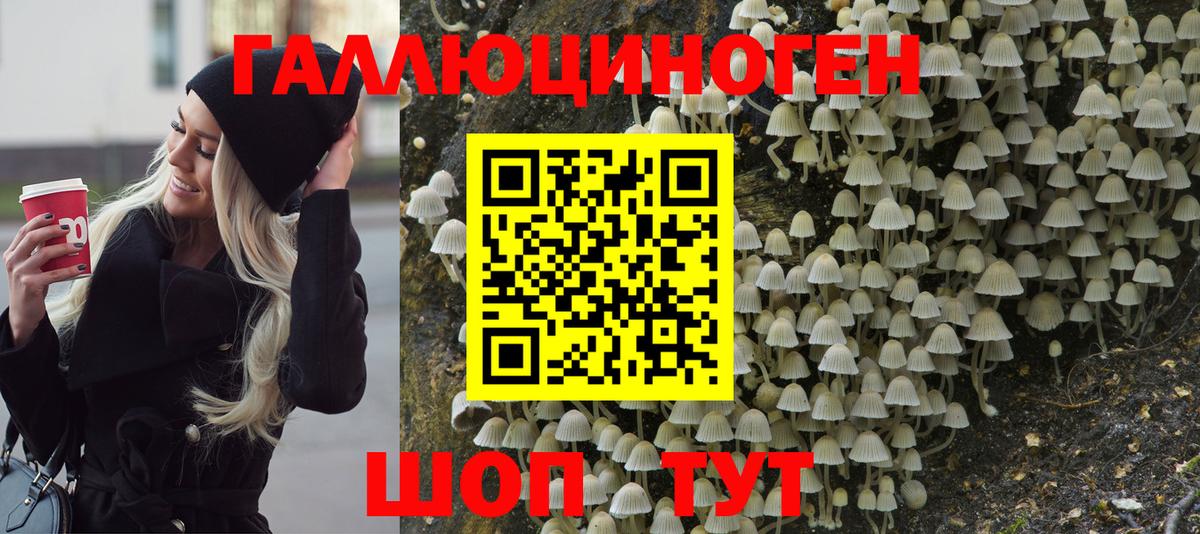 Псилоцибиновые грибы Psilocybine cubensis Бузулук